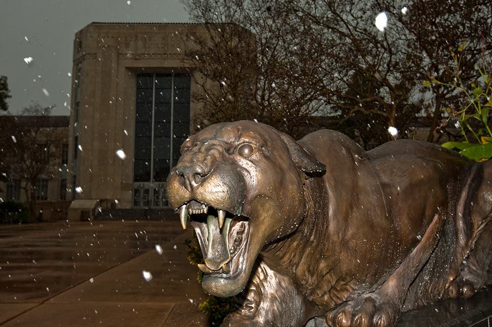 Campus snowfall in 2009 - photo via UH's Facebook page